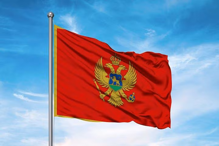 越南领导人向黑山共和国领导人致贺电 ảnh 1