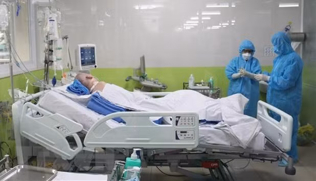 胡志明市把精力集中在治疗方面 最大限度减少新冠死亡病例 ảnh 1 胡志明市把精力集中在治疗方面 最大限度减少新冠死亡病例 ảnh 1