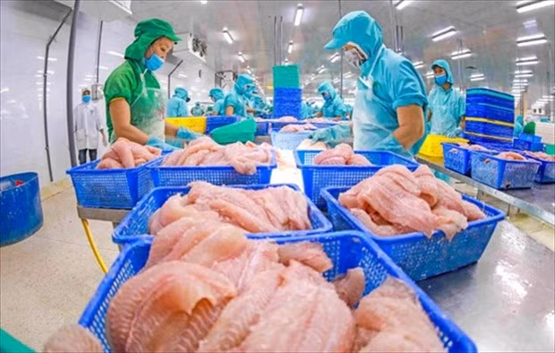 越南农林渔业全力攻坚克难确保实现2023年出口目标 ảnh 1 越南农林渔业全力攻坚克难确保实现2023年出口目标 ảnh 1