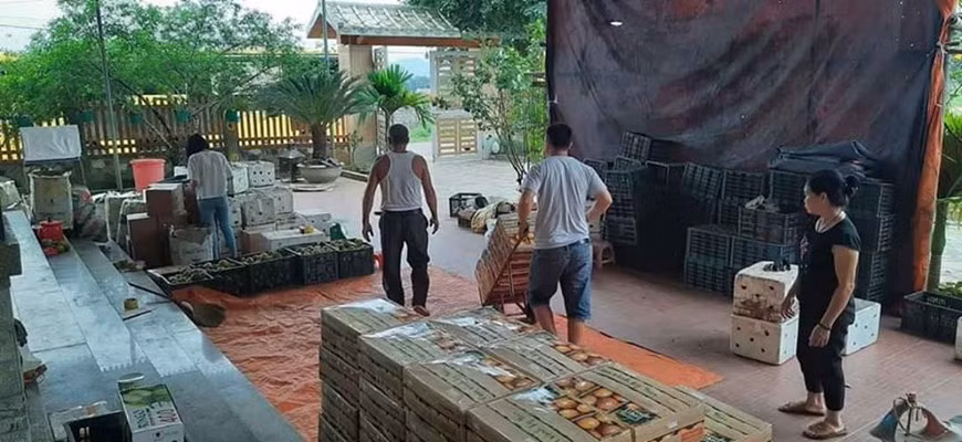 组图：越南企业在新冠肺炎疫情的背景下加大生产力度 ảnh 8