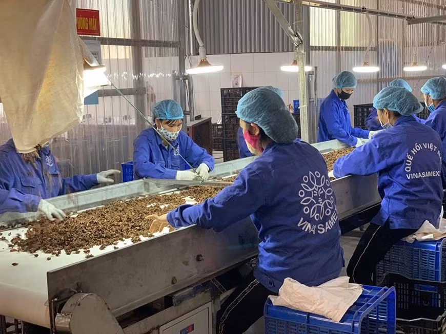 组图：越南企业在新冠肺炎疫情的背景下加大生产力度 ảnh 4