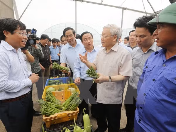 越共中央总书记阮富仲赴河静省调研 ảnh 1