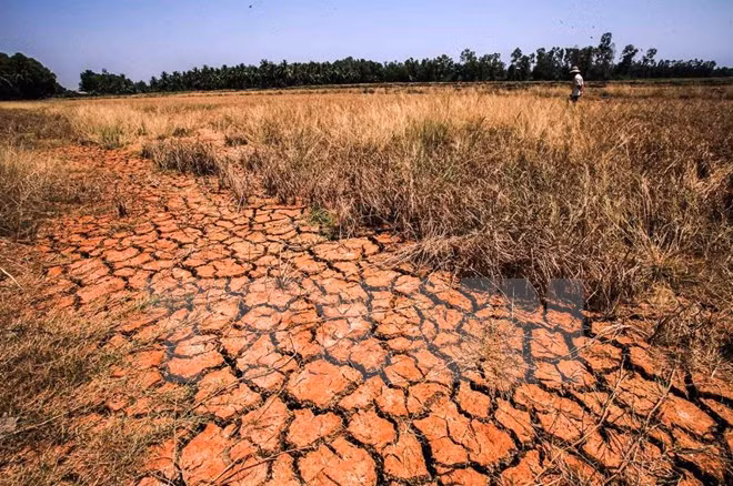 自然灾害给越南多地造成巨大损失 ảnh 1