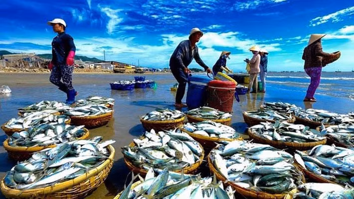 2018年越南水产捕捞量力争达330万吨 ảnh 1