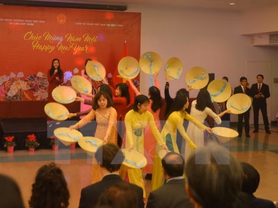 旅外越南人纷纷举行活动喜迎丁酉新年 ảnh 1