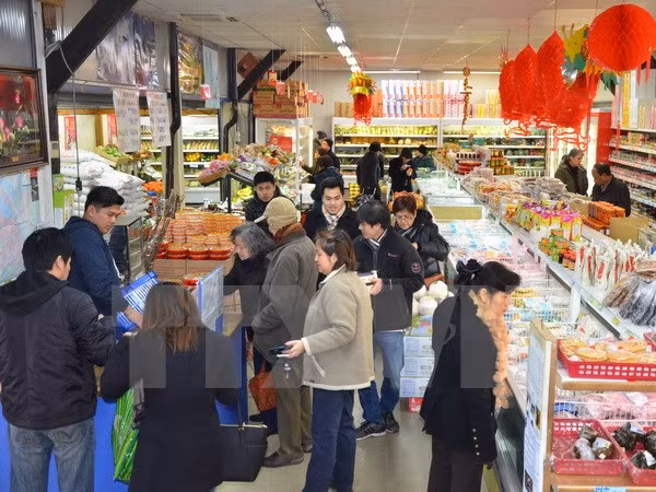 旅居巴黎越南人喜迎新春 ảnh 1