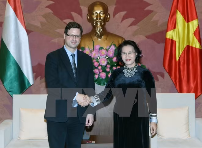 越南国会主席阮氏金银会见匈牙利议会副议长古亚士•盖尔盖伊 ảnh 1 越南国会主席阮氏金银会见匈牙利议会副议长古亚士•盖尔盖伊 ảnh 1