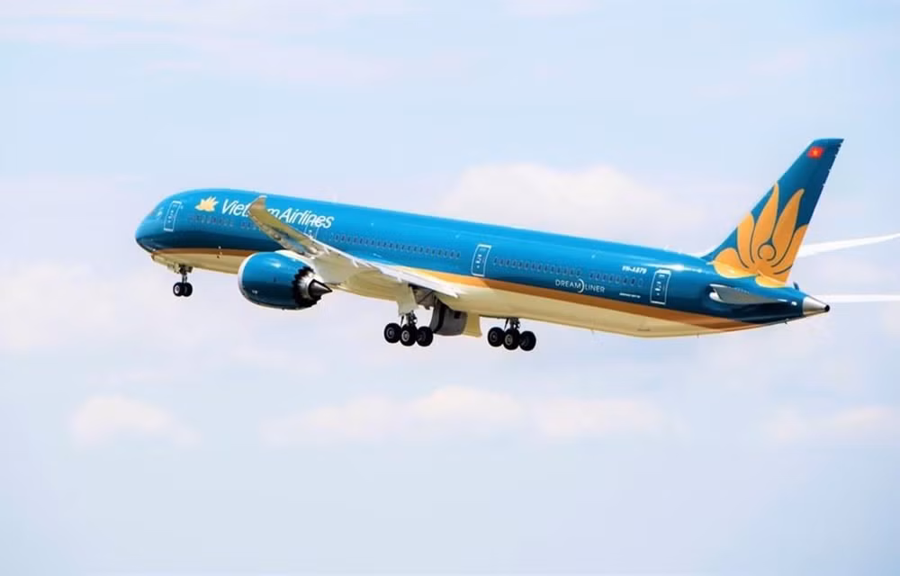 越航与美国达美航空公司建立联营合作 ảnh 1
