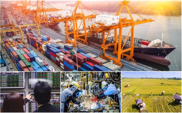 中国专家许宁宁:越南将成为2022年东盟经济增速最快的三个国家之一 ảnh 2 中国专家许宁宁:越南将成为2022年东盟经济增速最快的三个国家之一 ảnh 2