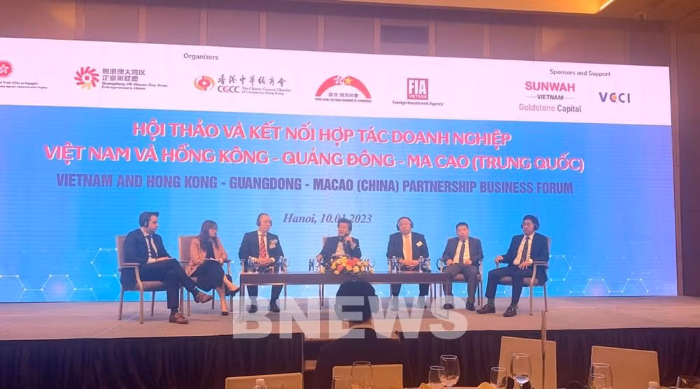 进一步加强越南与粤港澳大湾区企业之间的合作交流 ảnh 1