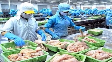 2016年前3个月越南农林水产出口额增长3.1% ảnh 1 2016年前3个月越南农林水产出口额增长3.1% ảnh 1