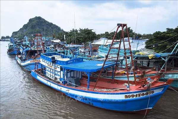 越南各地严厉打击非法捕捞行为 ảnh 1 越南各地严厉打击非法捕捞行为 ảnh 1