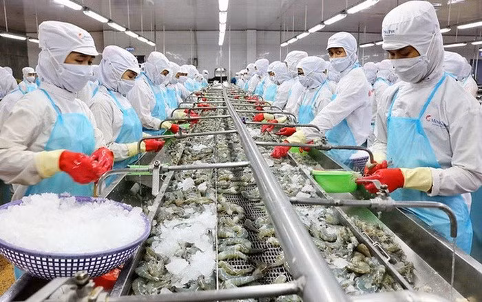 今年前2月越南水产品产量超过118万吨 ảnh 1
