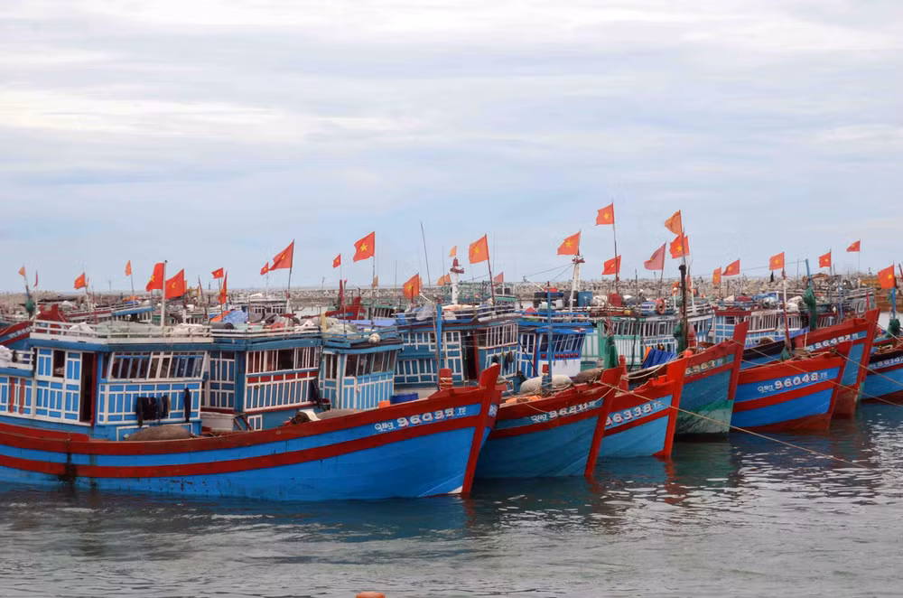 解除IUU“黄牌”警告：太平省多举措解决渔港管理不足问题 ảnh 1