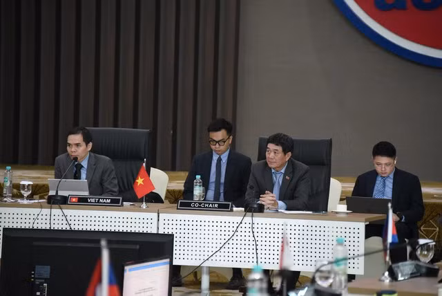 阮海鹏大使主持召开东盟-韩国联合合作委员会会议 ảnh 1 阮海鹏大使主持召开东盟-韩国联合合作委员会会议 ảnh 1