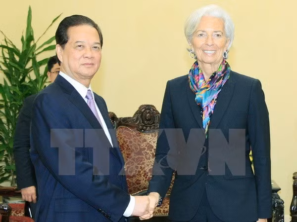 国际货币基金组织愿为越南实现各项发展目标提供协助 ảnh 1