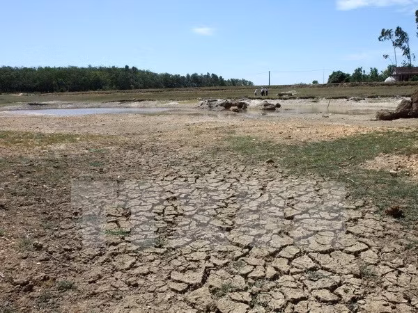 海水侵蚀可能将破坏水产养殖规划 ảnh 1 海水侵蚀可能将破坏水产养殖规划 ảnh 1