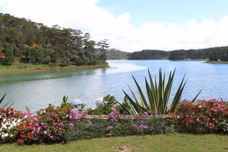 大叻市的泉林湖—仙石山生态旅游区 ảnh 1 大叻市的泉林湖—仙石山生态旅游区 ảnh 1
