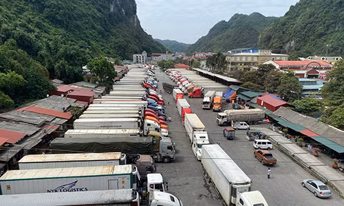 农产品车辆排长龙在口岸等待通关 ảnh 1 农产品车辆排长龙在口岸等待通关 ảnh 1