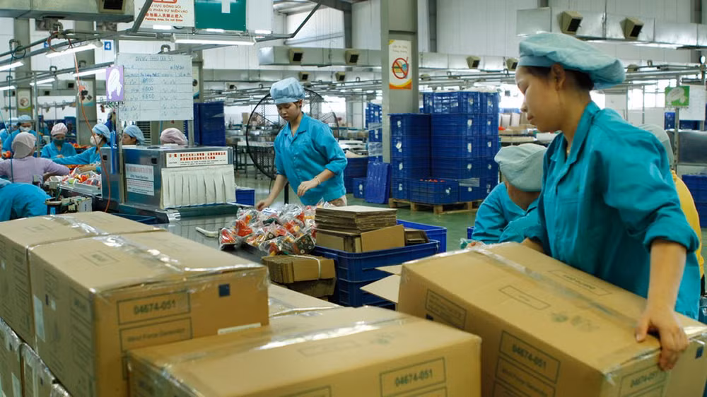 经济社会定期报告和统计报告的综合指标发布 ảnh 1