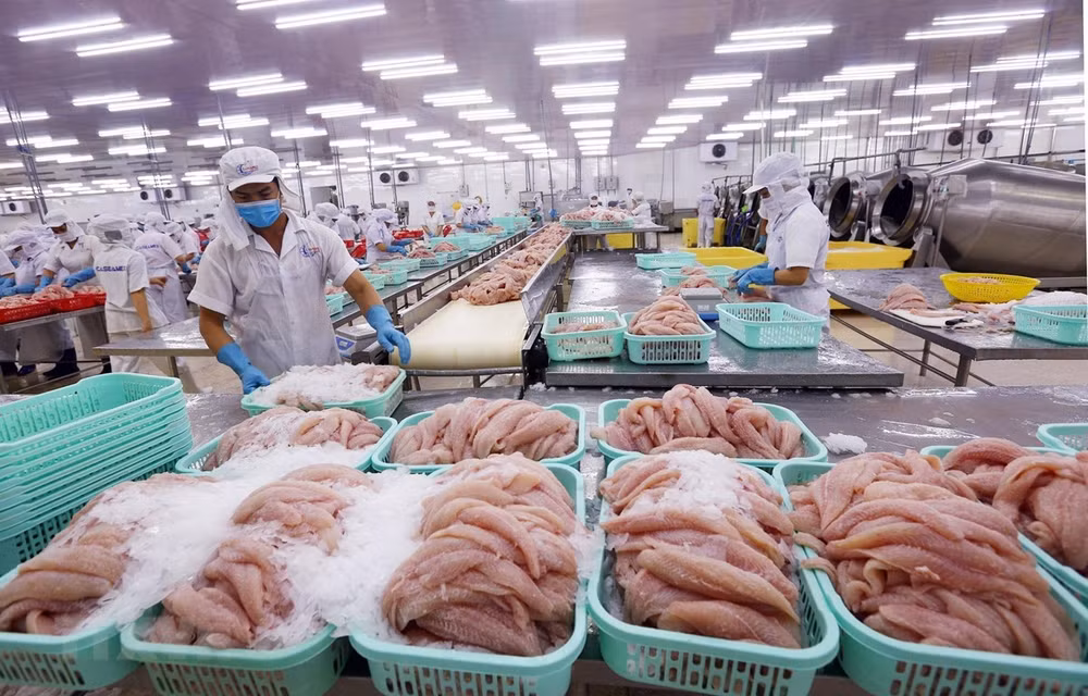 越南消费品对美国出口潜力巨大 ảnh 1 越南消费品对美国出口潜力巨大 ảnh 1