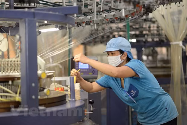 新冠肺炎疫情造成今年上半年出口额下降1.1% ảnh 1 新冠肺炎疫情造成今年上半年出口额下降1.1% ảnh 1