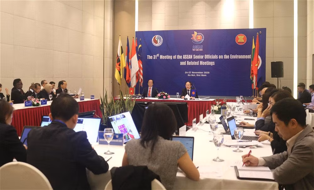 第31届东盟环境高级官员会议面向可持续生态系统 ảnh 2