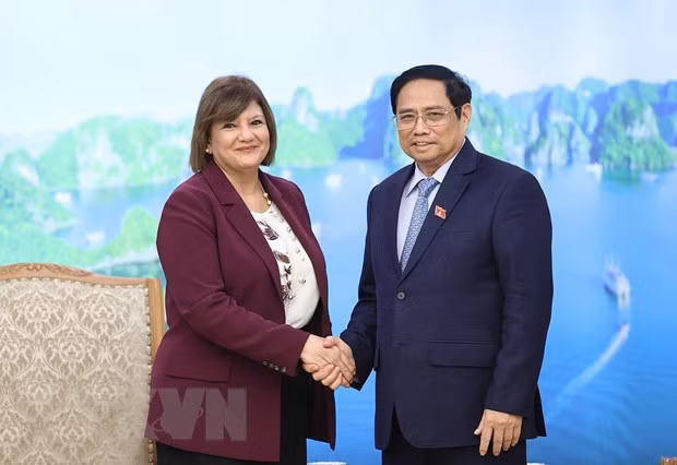 越南政府总理范明政会见埃及驻越南大使和蒙古国驻越南大使 ảnh 1 越南政府总理范明政会见埃及驻越南大使和蒙古国驻越南大使 ảnh 1