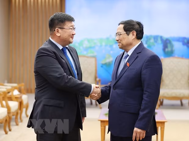 越南政府总理范明政会见埃及驻越南大使和蒙古国驻越南大使 ảnh 2 越南政府总理范明政会见埃及驻越南大使和蒙古国驻越南大使 ảnh 2