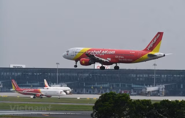 今年上半年越南各家航空公司外国旅客运输量逐月增加 ảnh 1 今年上半年越南各家航空公司外国旅客运输量逐月增加 ảnh 1