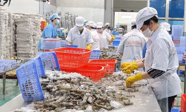 加大越南与印度各地之间的水产品合作力度 ảnh 1