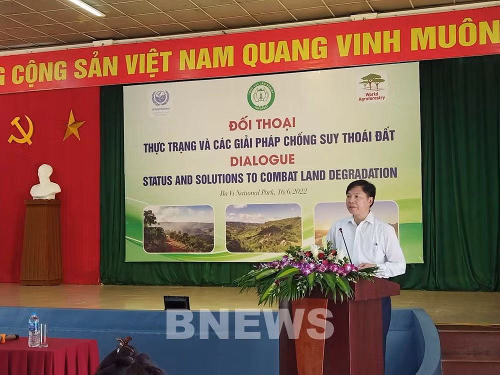 越南可持续发展林业 防止土地荒漠化和退化 ảnh 2 越南可持续发展林业 防止土地荒漠化和退化 ảnh 2