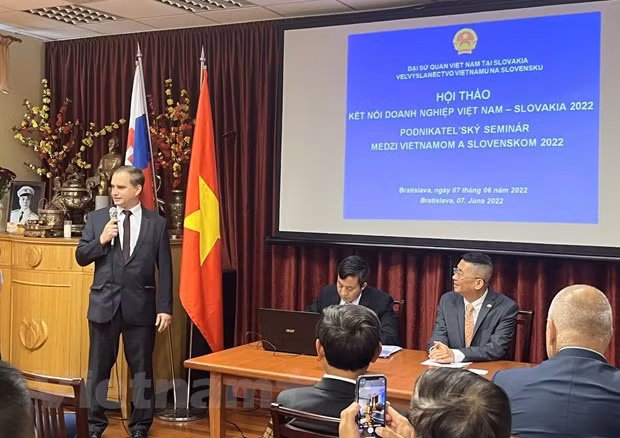 积极推进越南与斯洛伐克企业的对接 加强双边贸易关系 ảnh 1 积极推进越南与斯洛伐克企业的对接 加强双边贸易关系 ảnh 1
