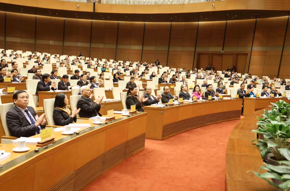 国会主席阮生雄:各级人民议会继续革新提高解决当地重要问题的效率 ảnh 1 国会主席阮生雄:各级人民议会继续革新提高解决当地重要问题的效率 ảnh 1