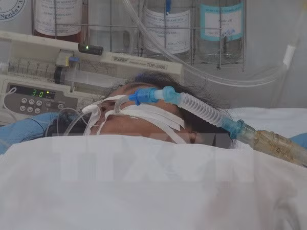 2010年以来柬埔寨发出现首例甲型H1N1流感死亡病例 ảnh 1 2010年以来柬埔寨发出现首例甲型H1N1流感死亡病例 ảnh 1