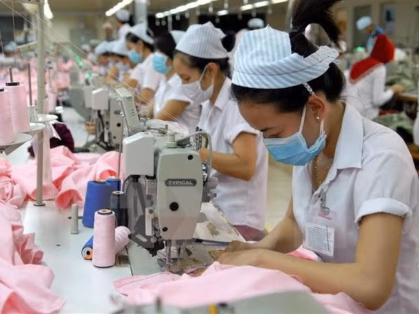 美国企业加大对越南纺织服装业投资力度 ảnh 1 美国企业加大对越南纺织服装业投资力度 ảnh 1