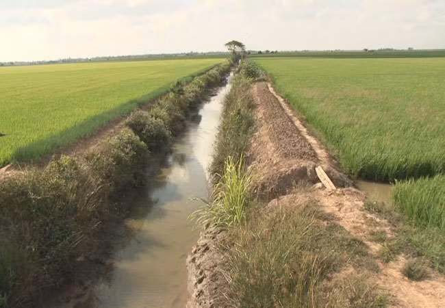 气候干旱与海水入侵给越南多地造成严重影响 ảnh 2 气候干旱与海水入侵给越南多地造成严重影响 ảnh 2