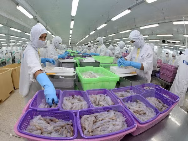 坚江省外贸出口额增长38% ảnh 1 坚江省外贸出口额增长38% ảnh 1