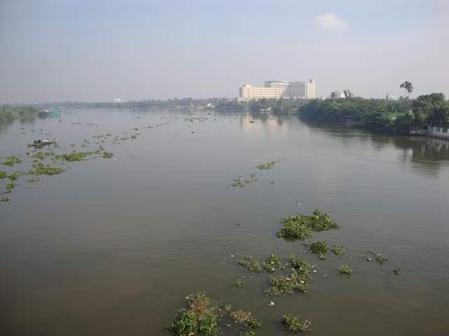 越南各省市携手保护同奈河流域生态环境 ảnh 1 越南各省市携手保护同奈河流域生态环境 ảnh 1