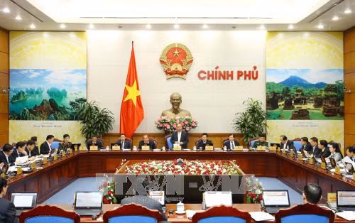 阮春福主持召开政府11月份例行会议 ảnh 1