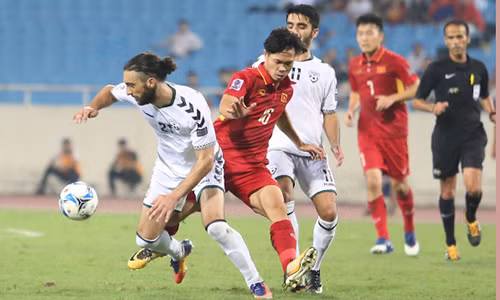 FIFA年终排名：越南队位居东南亚首位 ảnh 1
