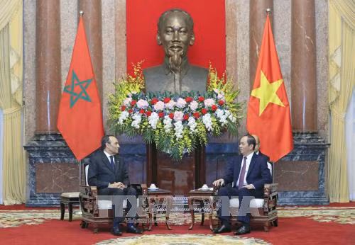 越南国家主席陈大光会见摩洛哥众议院议长哈比博·马勒克 ảnh 1 越南国家主席陈大光会见摩洛哥众议院议长哈比博·马勒克 ảnh 1
