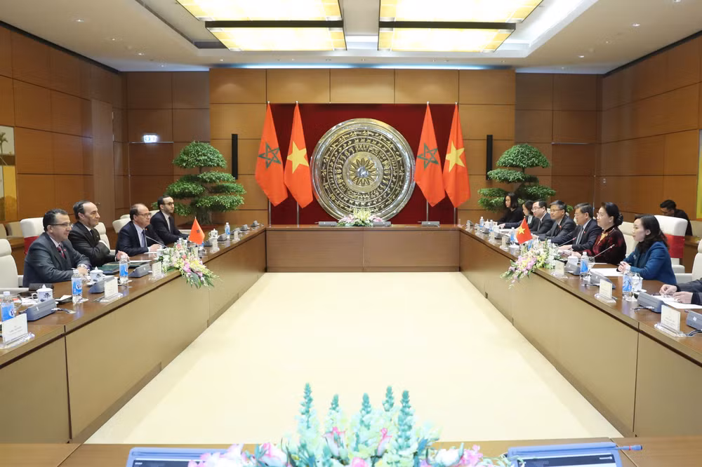 越南国会主席阮氏金银与摩洛哥众议院议长哈比博·马勒克举行会谈 ảnh 2 越南国会主席阮氏金银与摩洛哥众议院议长哈比博·马勒克举行会谈 ảnh 2