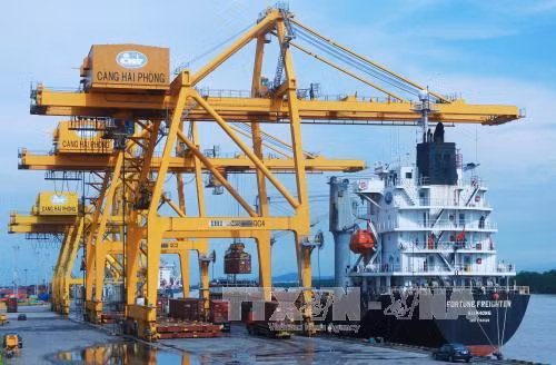 Vinalines与Rent-A-Port公司在海防港兴建谷物进出口专用码头 ảnh 1 Vinalines与Rent-A-Port公司在海防港兴建谷物进出口专用码头 ảnh 1