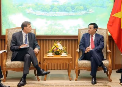 王廷惠副总理欢迎美国国际开发署为越南企业参加全球供应链提供协助 ảnh 2