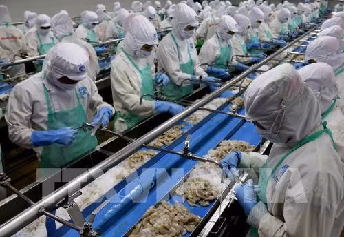 越南批准紧急措施实施计划 克服欧洲委员会对IUU的警告 ảnh 1 越南批准紧急措施实施计划 克服欧洲委员会对IUU的警告 ảnh 1