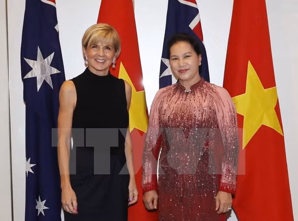 阮氏金银访问新澳之行有助于实施越南对外目标 ảnh 2 阮氏金银访问新澳之行有助于实施越南对外目标 ảnh 2