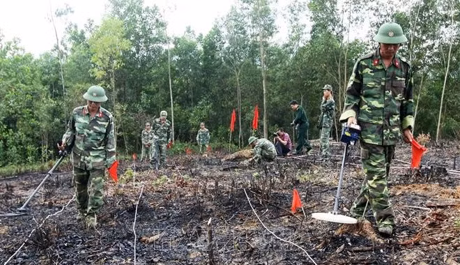 美国友人为越南的排雷工作募捐善款 ảnh 1 美国友人为越南的排雷工作募捐善款 ảnh 1