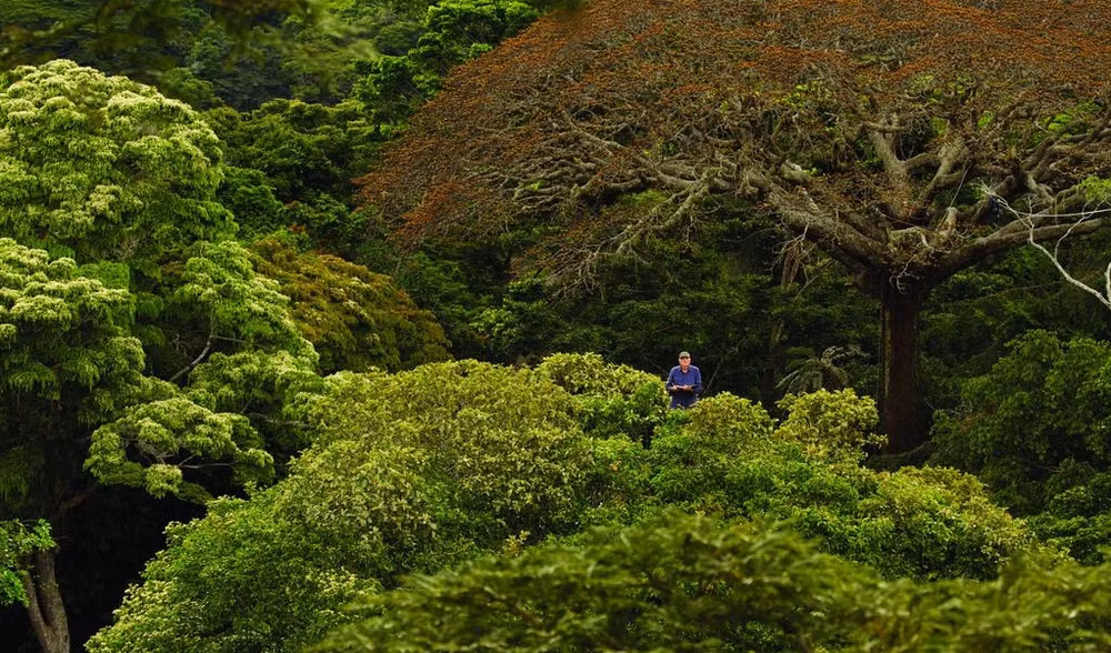 首届自然电影节在越南举行 ảnh 2