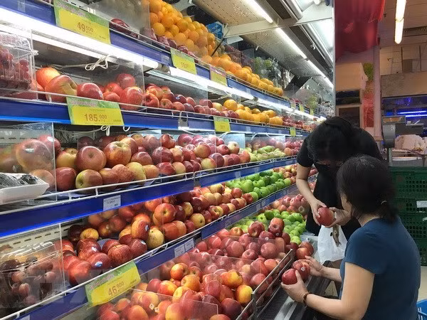 胡志明市企业积极扩大生产经营范围 ảnh 1 胡志明市企业积极扩大生产经营范围 ảnh 1